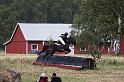 CNC_horse_one_star