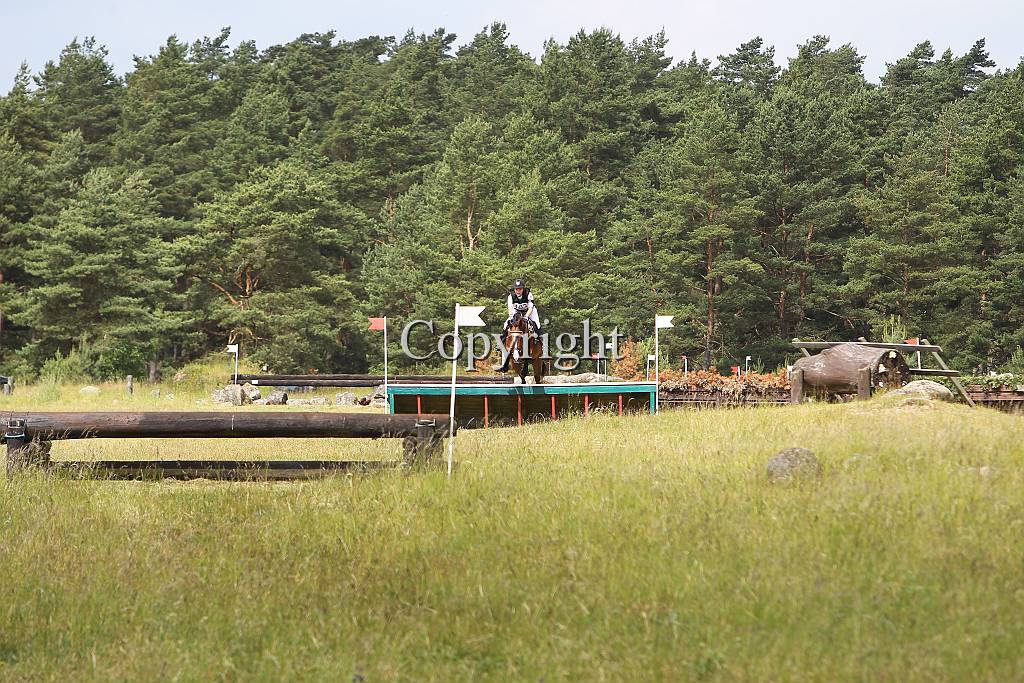 AP5D2608.JPG