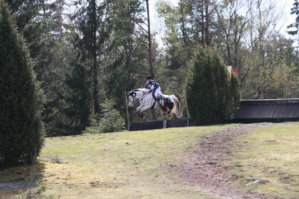 IMG_2505.JPG